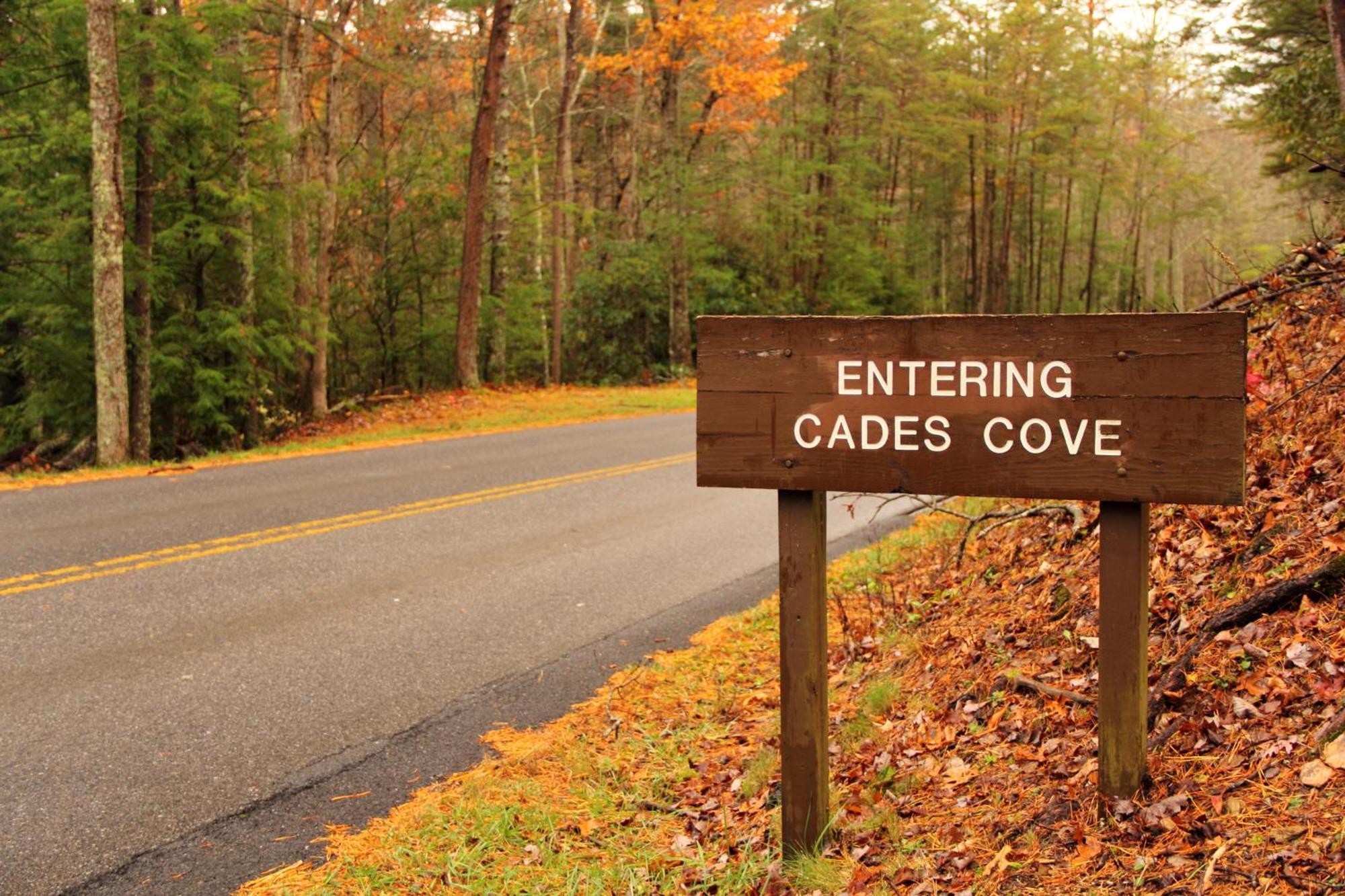 Smoky Bear Lodge With Guest House, Hot Tub, 1089 Free Tickets Each Paid Day, Dollywood And More Sevierville Esterno foto