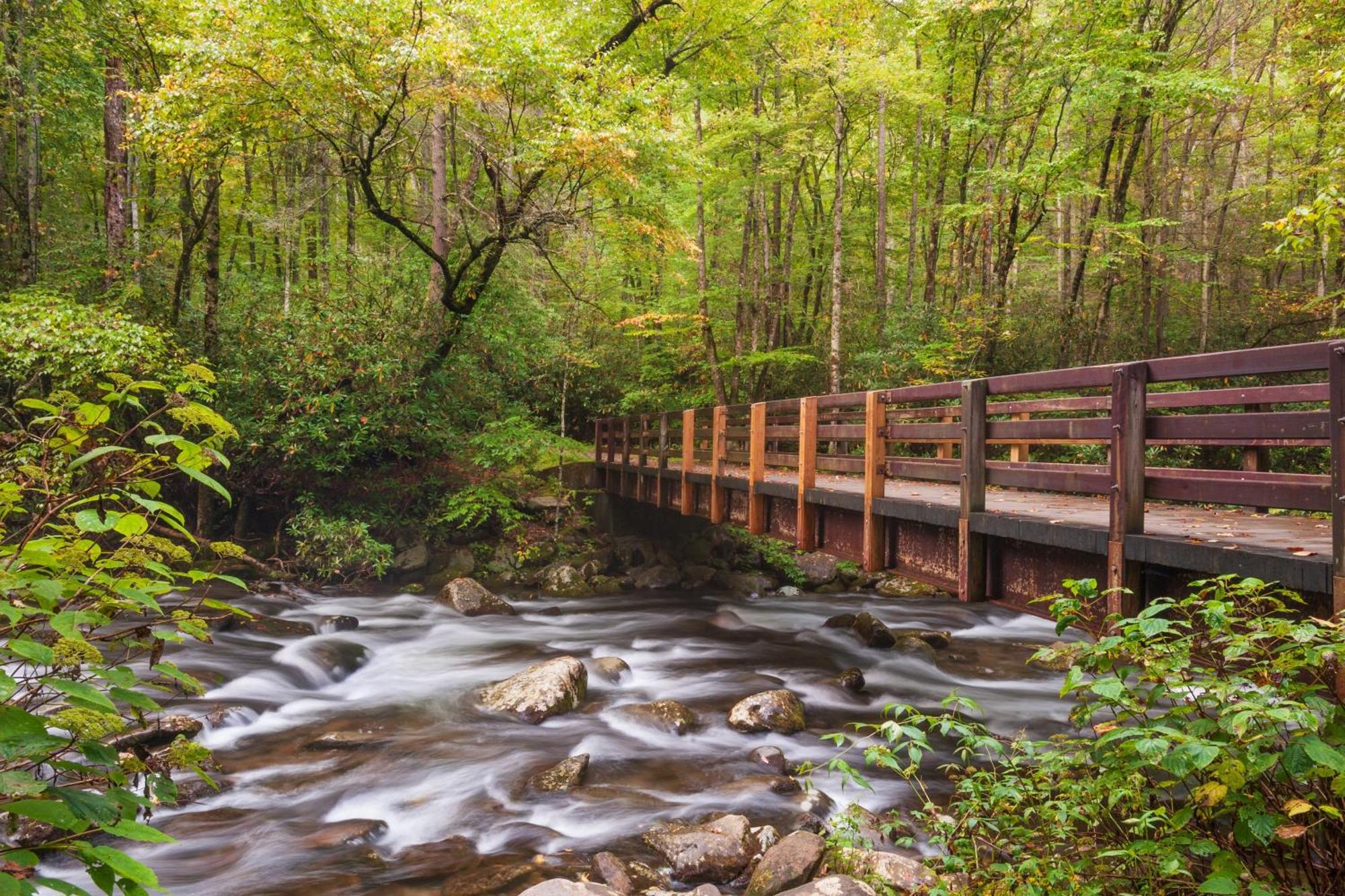Smoky Bear Lodge With Guest House, Hot Tub, 1089 Free Tickets Each Paid Day, Dollywood And More Sevierville Esterno foto
