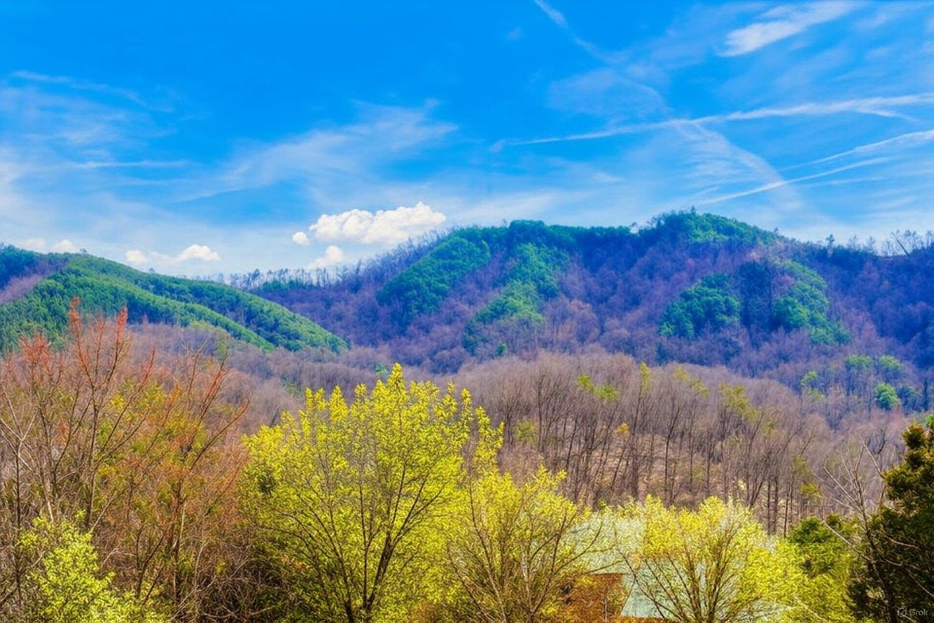 Smoky Bear Lodge With Guest House, Hot Tub, 1089 Free Tickets Each Paid Day, Dollywood And More Sevierville Esterno foto